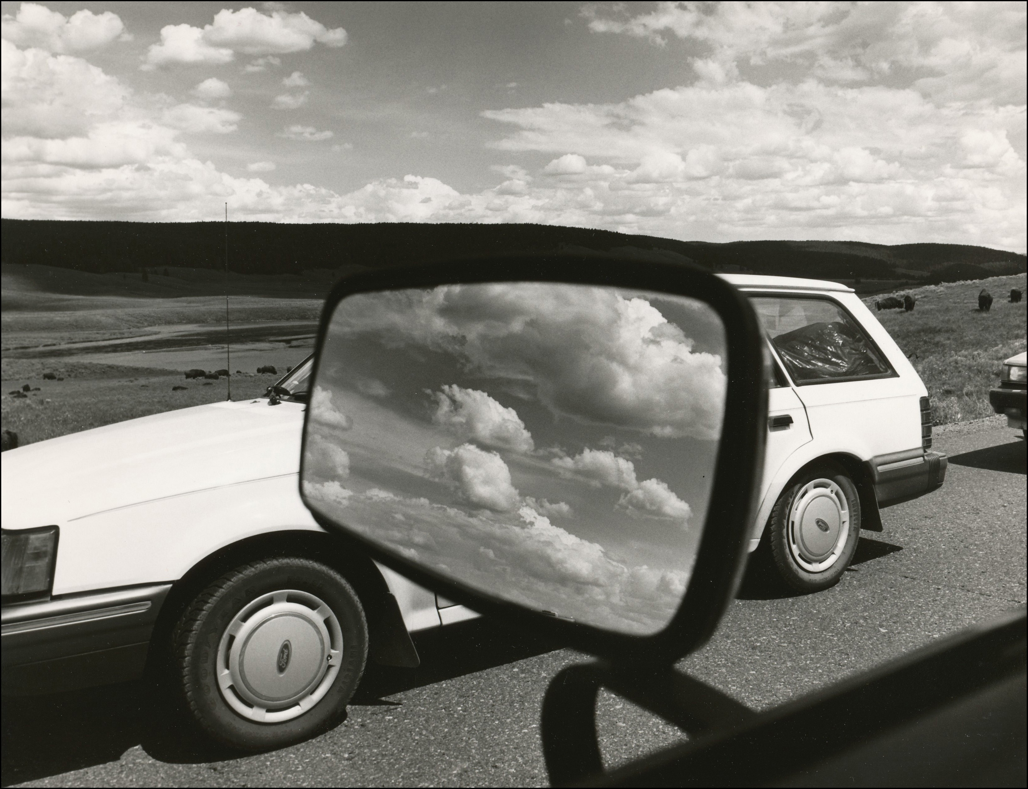Looking out of a car window with clouds in the mirror, a white car on the other side of the road and in the background buffalo grazing in an open area