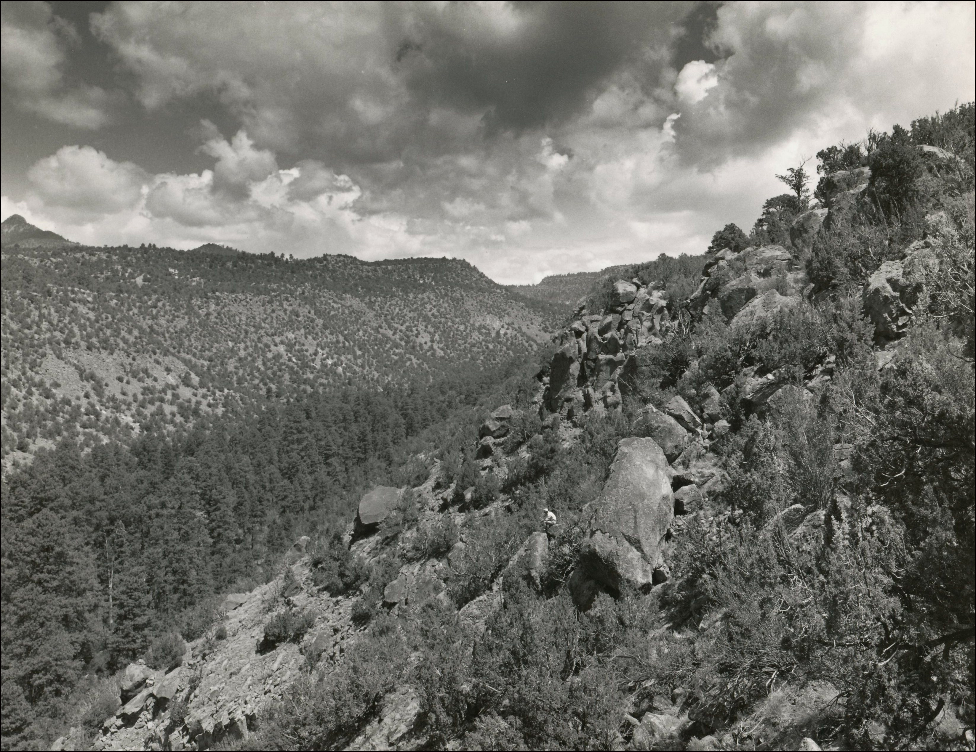 Mountains and canyon covered with rock and trees in a wilderness area